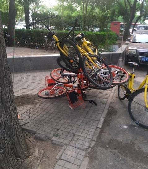 ofoѺ˿쳣Ͷߣ²СƳҿ۷