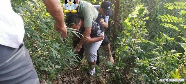 ��������Ѯ������ʧ������ҹ ��ȫ����Ѱ��ȫ�һ�