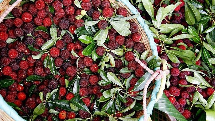 ����С���ڼ�����÷��������ڳ�����