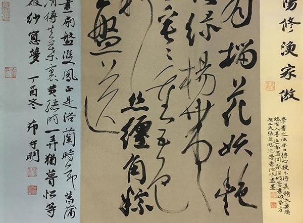 鷨