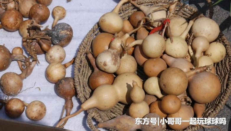 ���д���ũϡ��������أ���һ����ͷ����������ϡ�����ֶ���Υ��