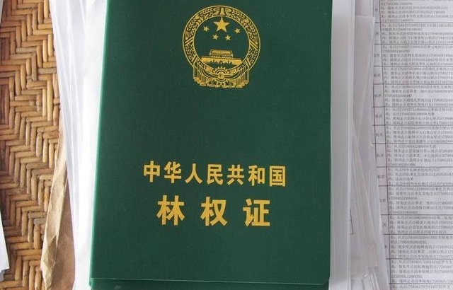 ũ�屣���Լ��Ϸ�Ȩ����֤�������м�����