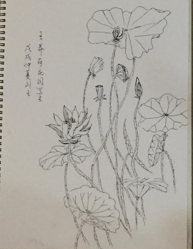 ��Ķ������ʮ�ﻨ��D�Dʡ��Э��ɽ��������Ů���Ҳɷ��ʵ