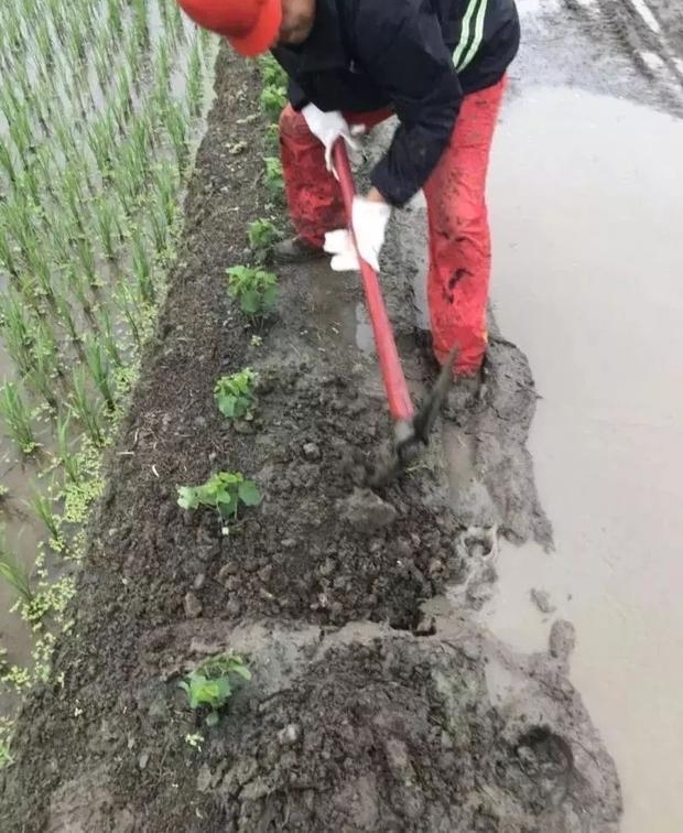 ���꼾��ʮ�˰����մ�Ӯ��̨��Ѵ��ս�ۣ�