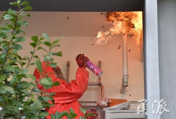 ��������һ������������32���������õ�����취����