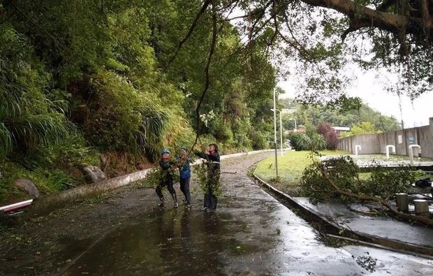 ���꼾��ʮ�˰����մ�Ӯ��̨��Ѵ��ս�ۣ�