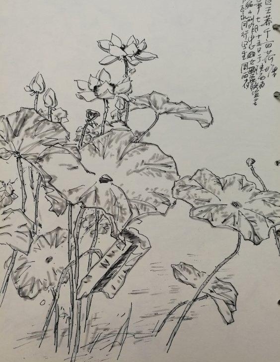 ��Ķ������ʮ�ﻨ��D�Dʡ��Э��ɽ��������Ů���Ҳɷ��ʵ