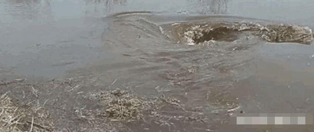 ���ӷ��ֺ����и�����, �ó��ֻ���ʼ����, �����ط��ֲ��Ծ�