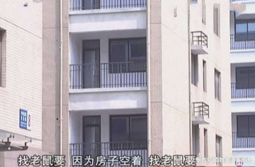 ����Ͷ������û��Ԥ�ںã����Ծܽ���ҵ�ѣ����ѣ���β�����ҵ