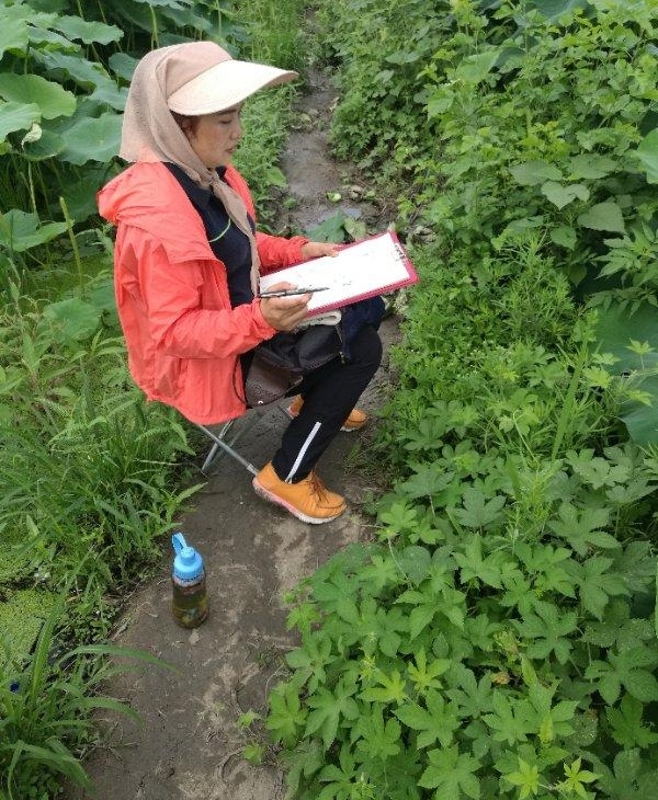 ��Ķ������ʮ�ﻨ��D�Dʡ��Э��ɽ��������Ů���Ҳɷ��ʵ