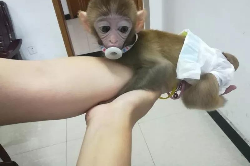 ˽8ֻ⨺ﵱ11˱ץС⨺ﾭĴε۱屶