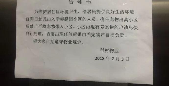 ʲô����?�����С�� �������С����Ͳ�������