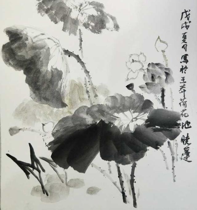 ��Ķ������ʮ�ﻨ��D�Dʡ��Э��ɽ��������Ů���Ҳɷ��ʵ