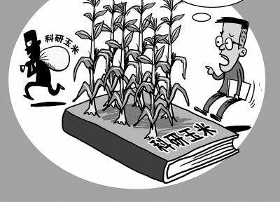 ͵���������ǵ�����?�ܷ���ʶ�����������ֵ�Ƕ���ؼ�