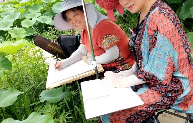 ��Ķ������ʮ�ﻨ��D�Dʡ��Э��ɽ��������Ů���Ҳɷ��ʵ