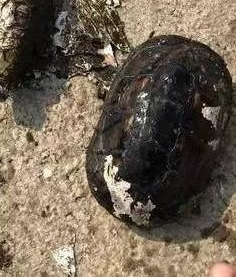 ���ӵ���񵽹�������ƿ���������������������ˣ�ֱ���ó��˵���