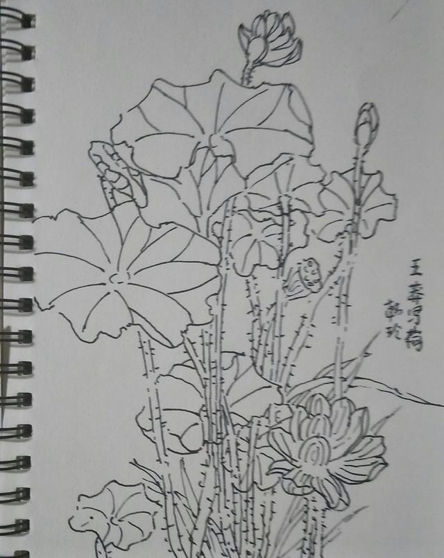 ��Ķ������ʮ�ﻨ��D�Dʡ��Э��ɽ��������Ů���Ҳɷ��ʵ