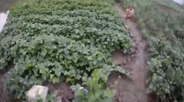 ��ʧ��������·�� ����Ϊ�����ϡ���������