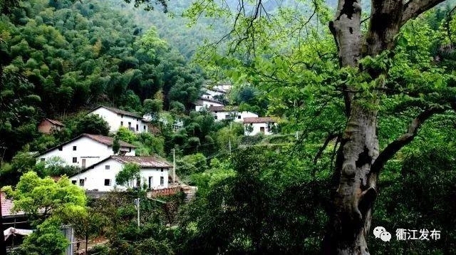 7��18��ҩ��ɽ����Ư����ʢ��Ļ���������ղ�����������һ�ġ�