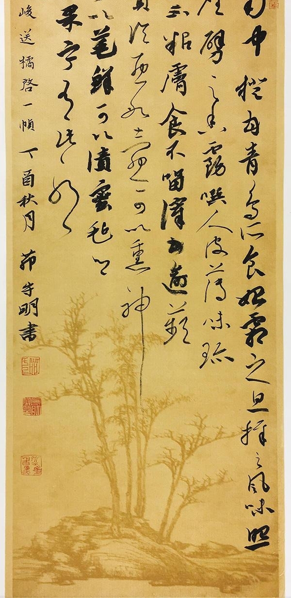 鷨