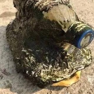 ���ӵ���񵽹�������ƿ���������������������ˣ�ֱ���ó��˵���