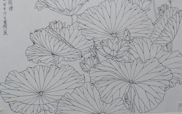 ��Ķ������ʮ�ﻨ��D�Dʡ��Э��ɽ��������Ů���Ҳɷ��ʵ