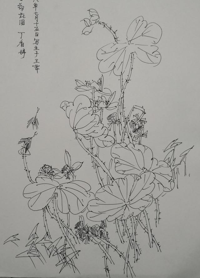 ��Ķ������ʮ�ﻨ��D�Dʡ��Э��ɽ��������Ů���Ҳɷ��ʵ