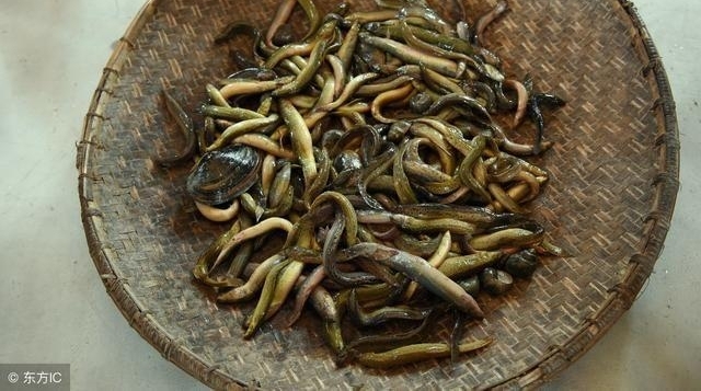 ũ������5 ��Ұζ��80,90��Ļ��䣡ȫ�Թ����˹��Ʋ����ˣ�