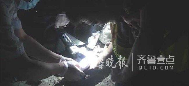 ����һ���˲�������ֽ������� �����ٱ����پ�Ԯ