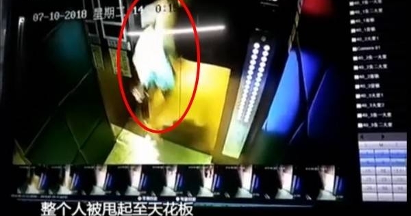 �㶫��ͯ��������������ݣ�1����������1��������˦���컨��