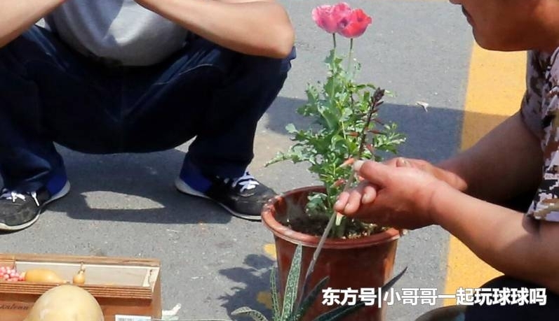 ���д���ũϡ��������أ���һ����ͷ����������ϡ�����ֶ���Υ��