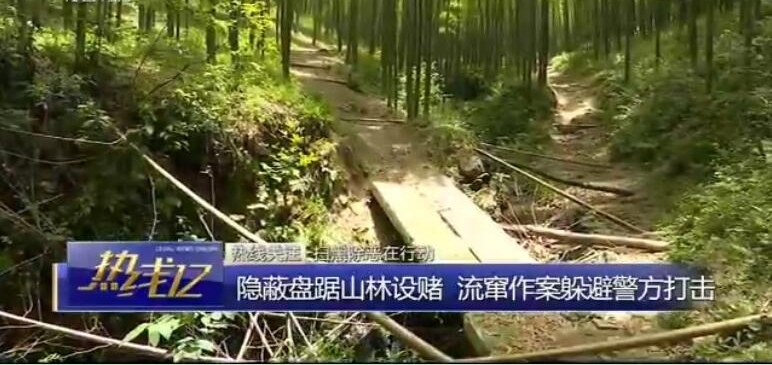 Żĳ¡ڳԺڡ ҵϰ忪ɳӻ