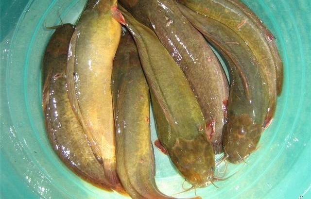 ũ������5 ��Ұζ��80,90��Ļ��䣡ȫ�Թ����˹��Ʋ����ˣ�