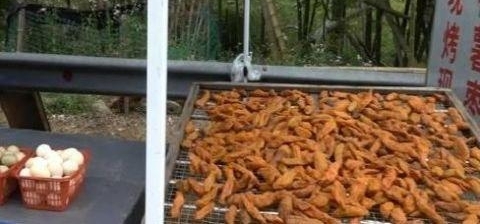 ��ү������������С�ԣ�18Ԫһ�ũ���˲�ϡ����������������