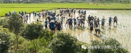 ��ɳ�ж�ʮһ����֯�߶�ѧ����չ���ѧũ�