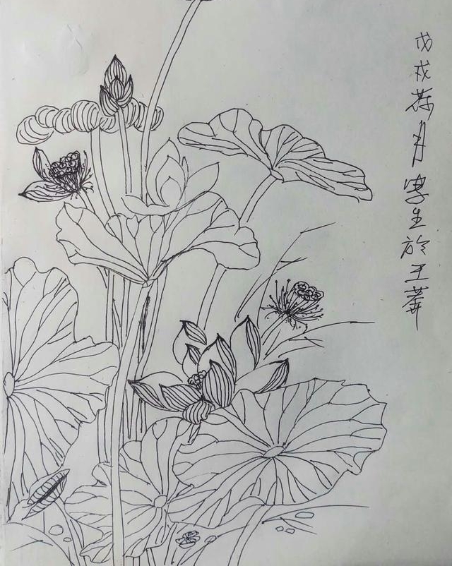 ��Ķ������ʮ�ﻨ��D�Dʡ��Э��ɽ��������Ů���Ҳɷ��ʵ