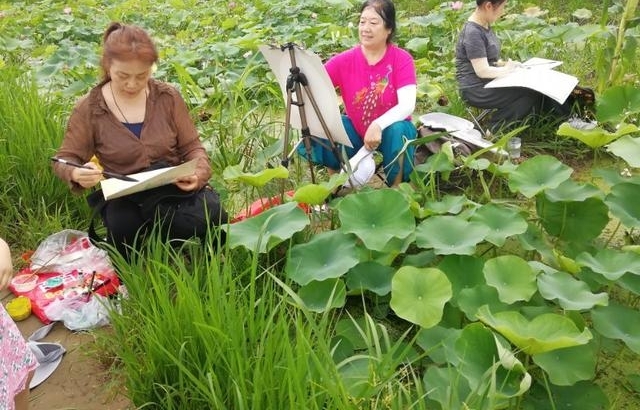 ��Ķ������ʮ�ﻨ��D�Dʡ��Э��ɽ��������Ů���Ҳɷ��ʵ