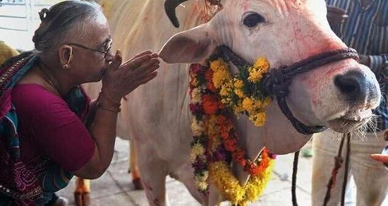 ӡ����ţ���ĳ��֣����ܳ�Ҳ�����ף��й����ѣ�����������