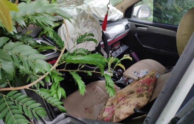 ���Ӵ� 5 �˳�;��Ϯ ƣ��ײɽ��������������