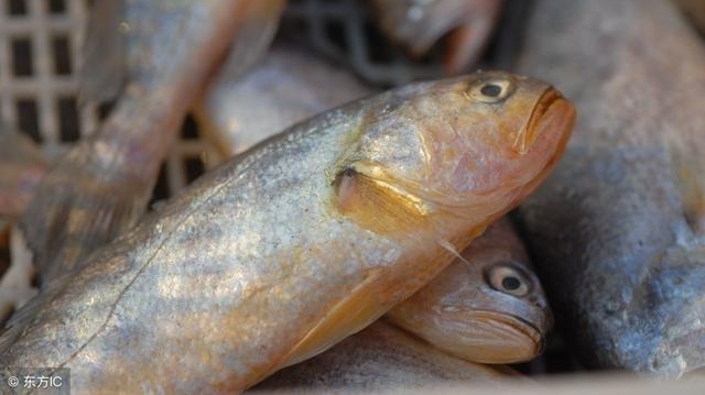 ũ������5 ��Ұζ��80,90��Ļ��䣡ȫ�Թ����˹��Ʋ����ˣ�