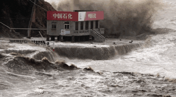 ���꼾��ʮ�˰����մ�Ӯ��̨��Ѵ��ս�ۣ�