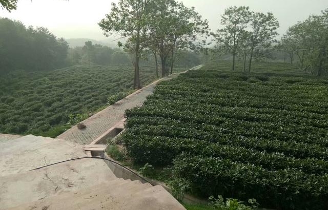 �����е���Ƭ�һ�Դ��תҵ�ϱ�����ƶ�±�·���ж�Զ��