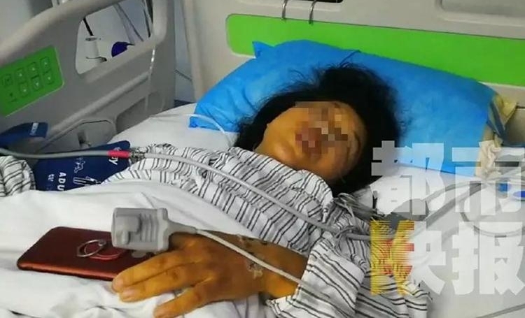 ����һ������ʳ��ҰĢ�����ж� ����һ������