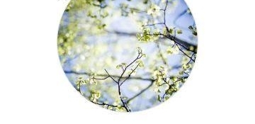 1뺢Ӳ˵1%Ա֢ʱ＂＂Ů