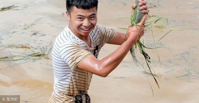 ũ������5 ��Ұζ��80,90��Ļ��䣡ȫ�Թ����˹��Ʋ����ˣ�