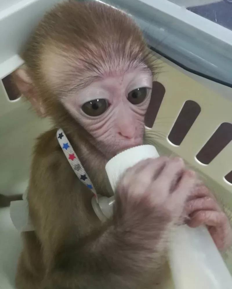 ˽8ֻ⨺ﵱ11˱ץС⨺ﾭĴε۱屶