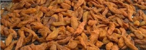 ��ү������������С�ԣ�18Ԫһ�ũ���˲�ϡ����������������