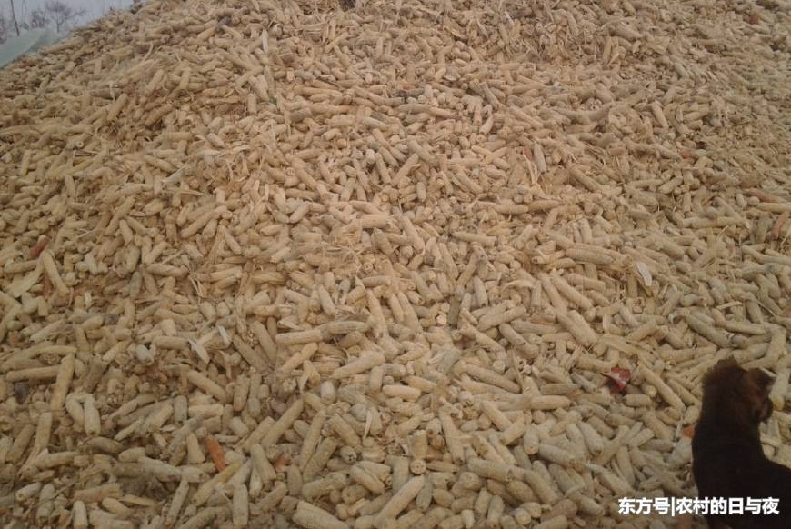 ũ�峣��������о���˿����ջ��������⣬���ɾ�������¸�·��