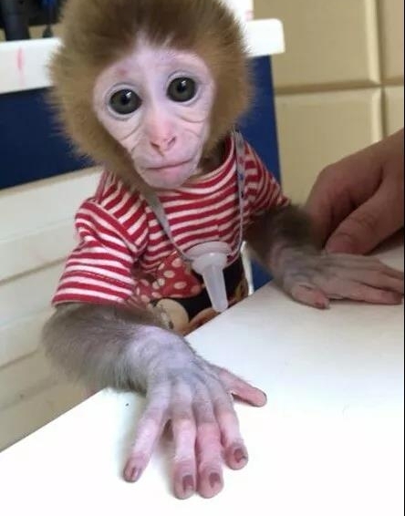 ˽8ֻ⨺ﵱ11˱ץС⨺ﾭĴε۱屶