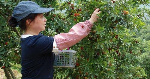 ����С���ڼ�����÷��������ڳ�����